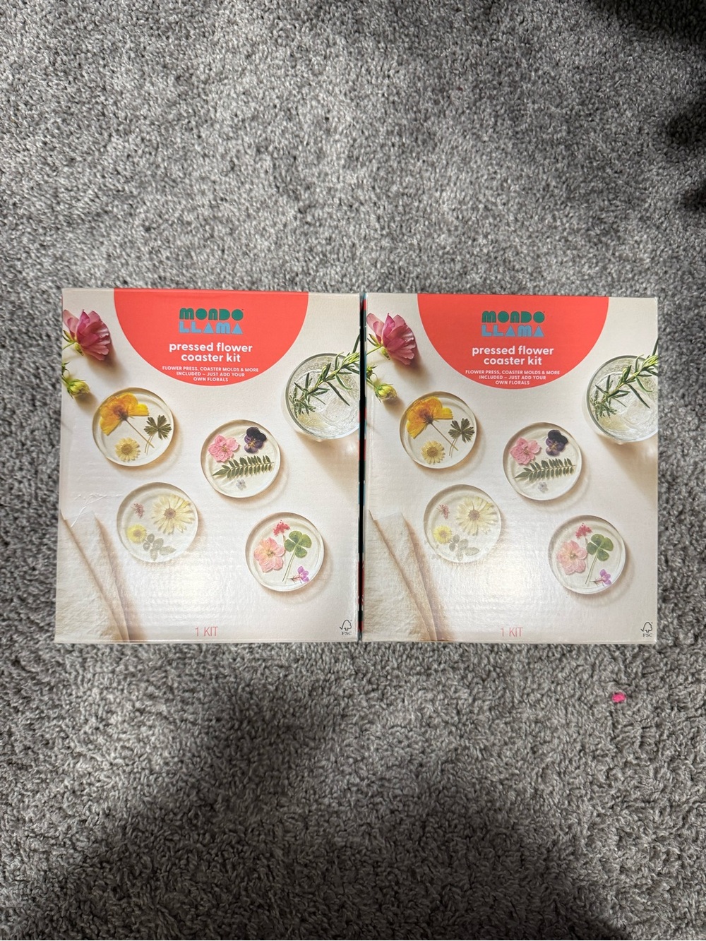Mondo Llama Pressed Flower Coaster Kit - Pink/Coral